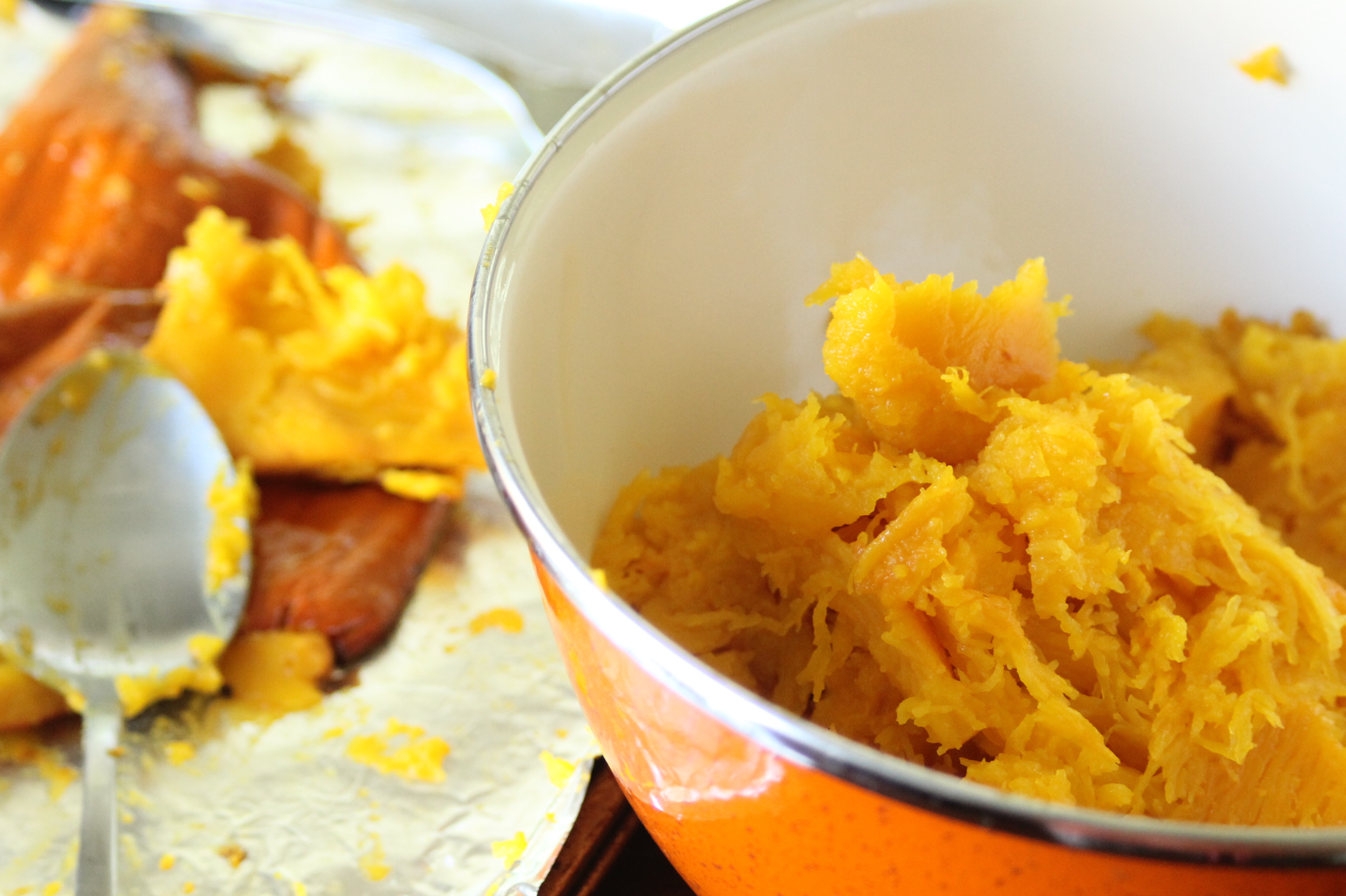 Roasted Pumpkin Puree | Slyh in the Kitchen